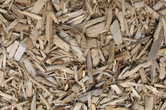biomass boilers Balchrick